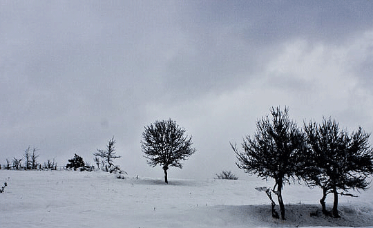 好聽(tīng)的付姓男孩名字大全