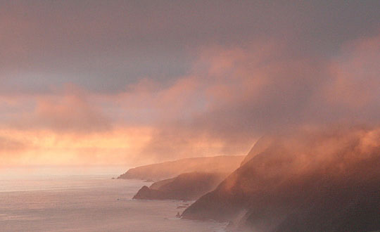 姓姚的好聽(tīng)的女孩名字大全