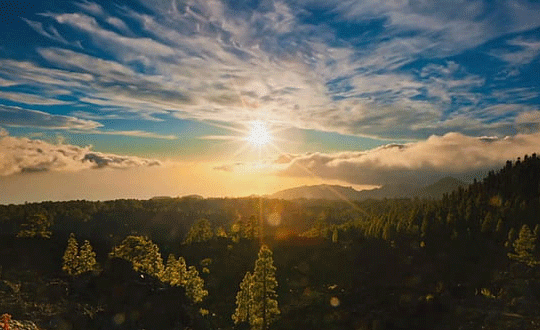 生僻字女孩兒唯美名字，不僅好聽而且易讀