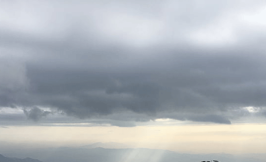 詩(shī)經(jīng)里的唯美句子取名