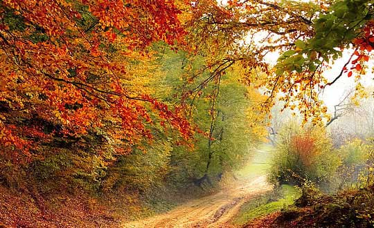 女孩免費取名文雅好聽的名字：獨特內(nèi)涵