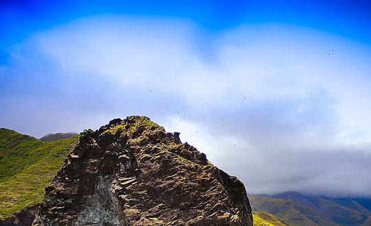  靈動內(nèi)涵有寓意的女孩名字精選：方法和注意事項