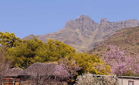 新生兒女寶寶好聽名字精選：獨(dú)特經(jīng)典