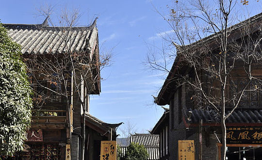 詩(shī)經(jīng)里文雅寓意大氣的女孩名字：洋氣有寓意