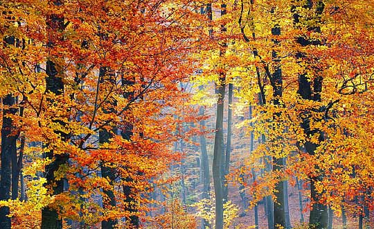  最有氣質(zhì)的女孩名字三個(gè)字：經(jīng)典字分享