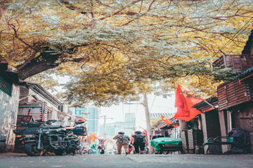 英雄聯盟家族名字