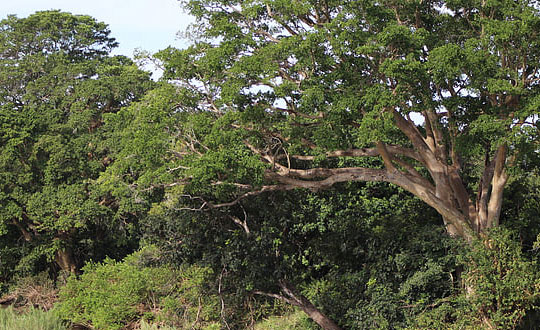 好聽的男孩名字，儒雅大氣男孩名字：獨特經(jīng)典