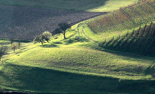 沉穩(wěn)大氣的男孩名字,1200個(gè)好聽(tīng)的男孩名字