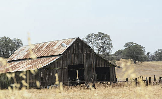 小孩取名大全女孩 女生名字好聽(tīng)大氣有寓意 