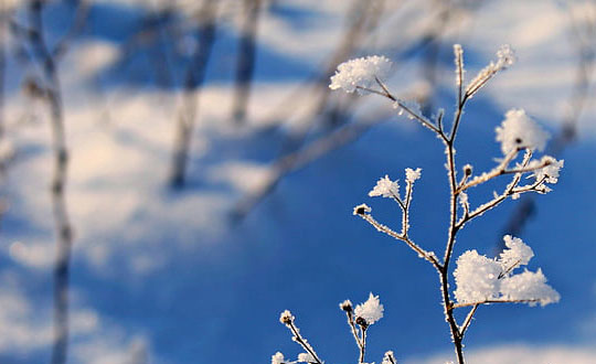 小寶寶起名唯美有詩(shī)意的女孩名字：?jiǎn)巫滞扑]