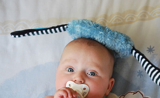 鼠寶寶取名大全2020款