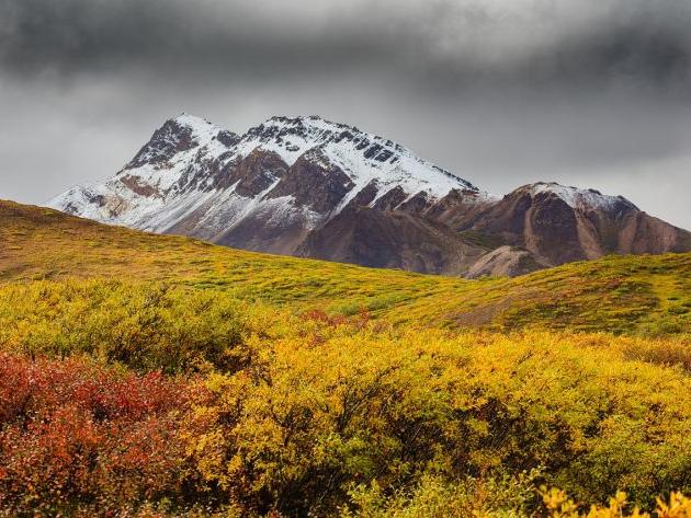 起名用字禁忌—豪字，起名時使用欣字的注意事項