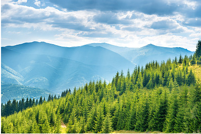 一眼驚鴻，小眾網(wǎng)名昵稱