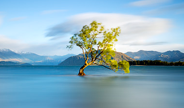 好聽(tīng)稀少的男孩名字，屬龍的男孩名字大全