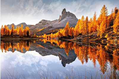 女生網(wǎng)名冷門又很可愛,真的不來看看嘛！