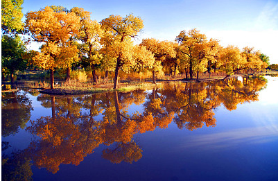 20款的古風(fēng)昵稱，瞬間讓你的微信穿越回古代！