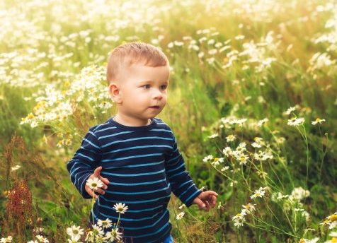 滕王閣序取名男孩，取自滕王閣序中的驚艷男孩名