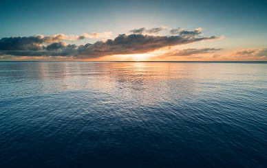 森系小仙女ins女生網(wǎng)名，推薦一些適合女生的ins網(wǎng)名