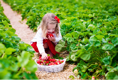 寶寶起名：出自宋詞里驚艷的男孩名、女孩名！