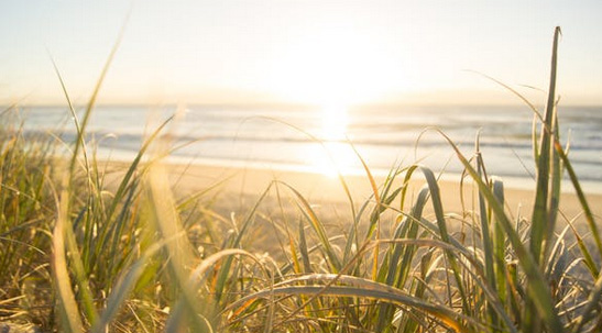 藏在【詩(shī)經(jīng)】中好聽(tīng)的葉姓女孩名