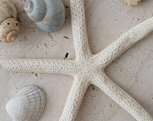 姓羅有氣質(zhì)的男孩名字大全，收藏留著給寶寶起名用