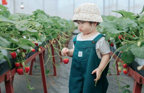 孟姓男寶寶起名改名，優(yōu)秀的男孩名字精選