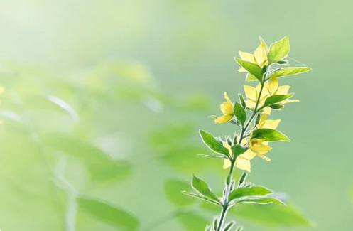 男孩起名，焦姓男孩名字大全洋氣