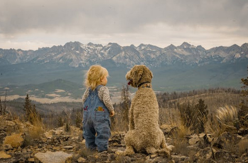 男孩起名，楊姓男孩取名豪爽大氣