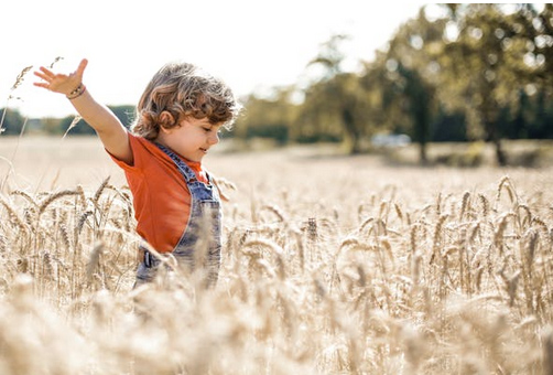 姓焦應該取啥名，看看姓焦的大氣溫柔的名字推薦