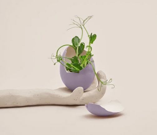 網(wǎng)名 | 簡單大方的女生網(wǎng)名