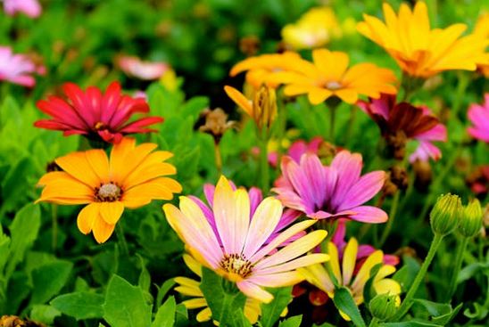 給酒店起名字，好聽的酒店名字和寓意