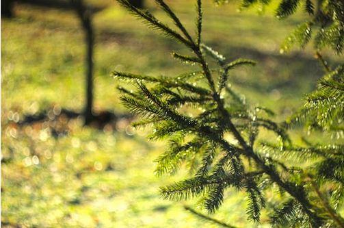 店鋪取名 | 招財(cái)氣的鞋店名字