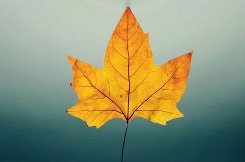 好記的食品店鋪名字分享，好聽又好記，吸引食客駐足品嘗