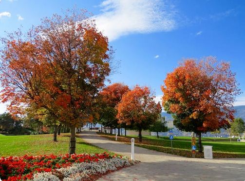 好記的食品店鋪名字分享，好聽又好記，吸引食客駐足品嘗