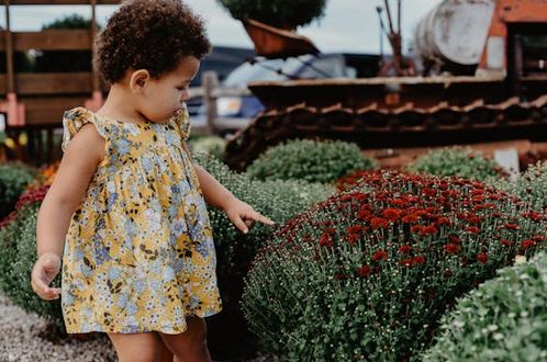 陳取什么名字好聽(tīng)女生，陳姓女孩子取名字大全來(lái)啦