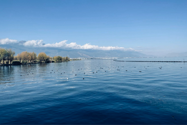 網(wǎng)名,網(wǎng)名取名字大全,一生都喜歡的網(wǎng)名