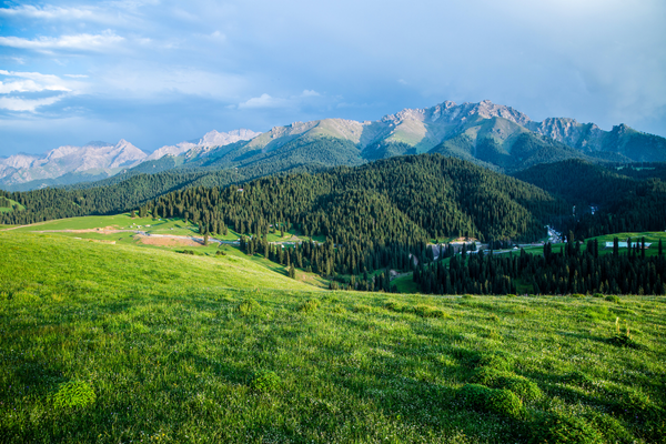 公司名字,寓意帶財運的公司名字