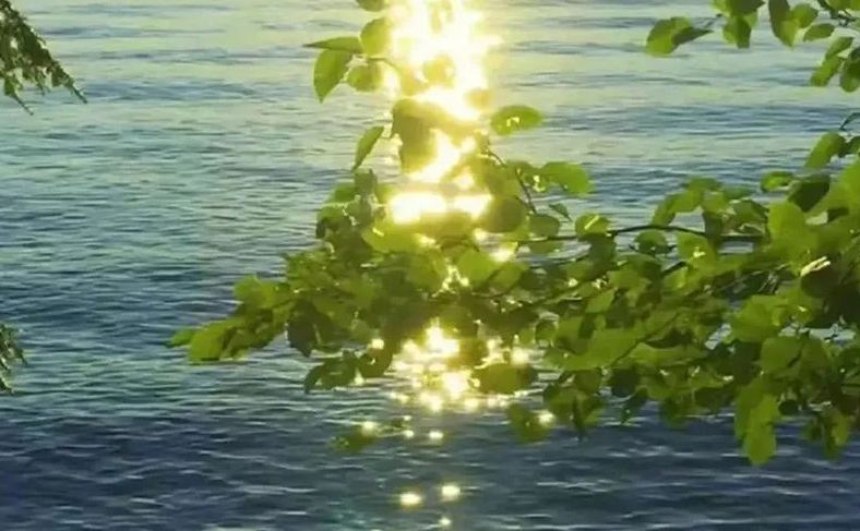 網(wǎng)名起名丨越品越香的永久微信名字