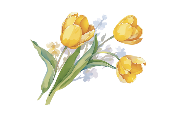 網(wǎng)名大全丨永不過時(shí)的經(jīng)典網(wǎng)名集