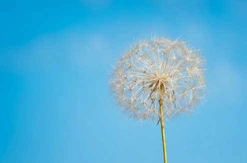 網(wǎng)名丨四字網(wǎng)名干凈有寓意古風(fēng)