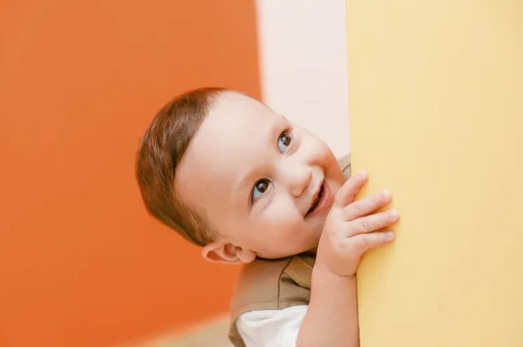 鴻字起名配什么字好？看看鴻字搭配大氣吉利的名字