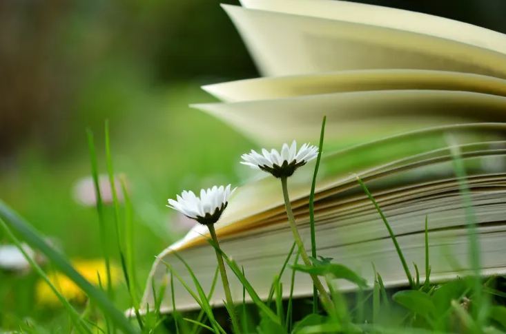 網(wǎng)名丨有故事感的四字微信名字