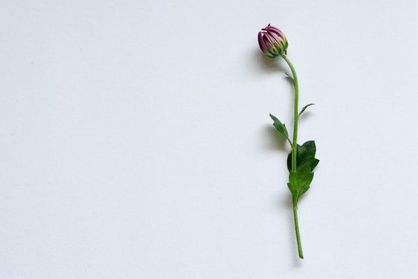 無畏契約游戲id取名鬼才，哪一個(gè)你敢用？