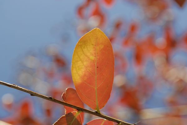 公司起名丨資產(chǎn)管理公司起名字大全分享，精選60個