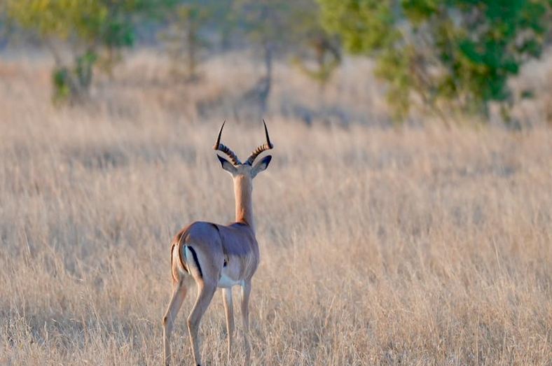 網(wǎng)名丨自由散漫的簡(jiǎn)單網(wǎng)名