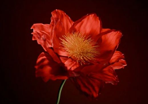 《時(shí)差一萬(wàn)公里》男主付玉東名字測(cè)試打分，解析~