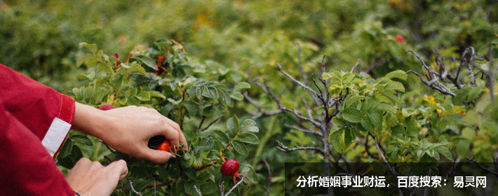 何炅這個名字怎么樣，名字解析，打分