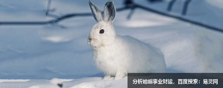 寶藏男孩胡歌，胡歌這個名字打分，解析