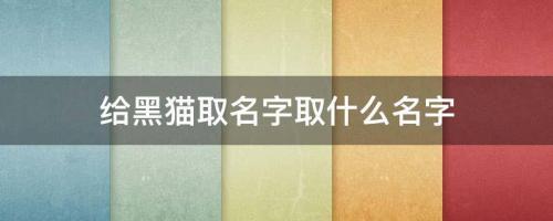 給黑貓取名字取什么名字