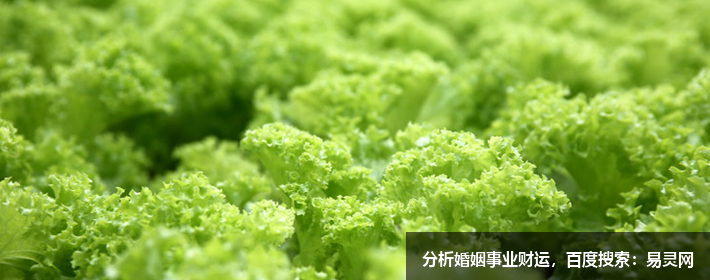 互聯(lián)網(wǎng)公司創(chuàng)意名字大全，獨(dú)特好聽(tīng)?wèi)?yīng)有盡有